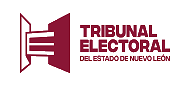 Tribunal Electoral del estado de Nuevo León, cliente datum